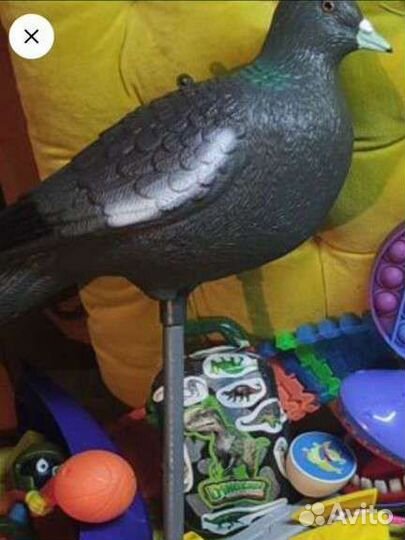Игрушка,голубь