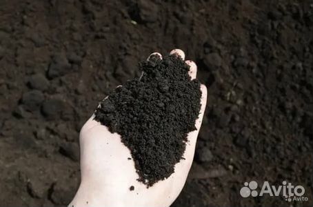 Чернозем (маслянистый в мешках по 53л )