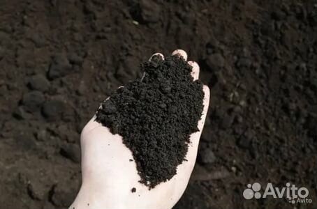 Чернозем (маслянистый в мешках по 53л )