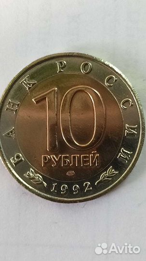 Красная книга. Среднеазиатская кобра