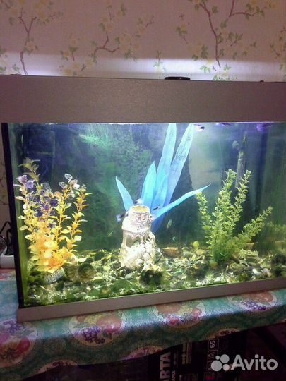 Аквариум 110 л