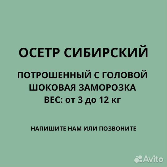 Рыба оптом доставка