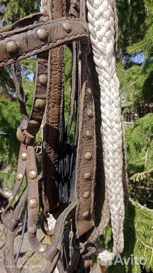 Сбруя для лошади