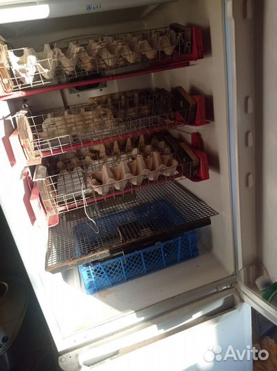 Инкубатор для яиц