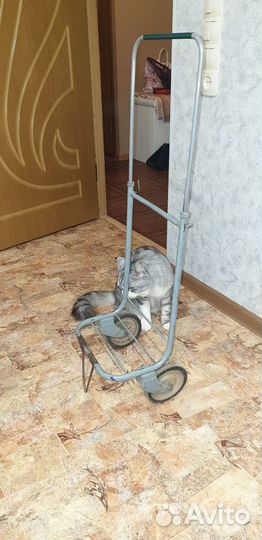 Тележка ручная двухколесная