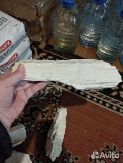 Окаменелое дерево. Торг