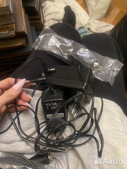 Тюльпаны провода