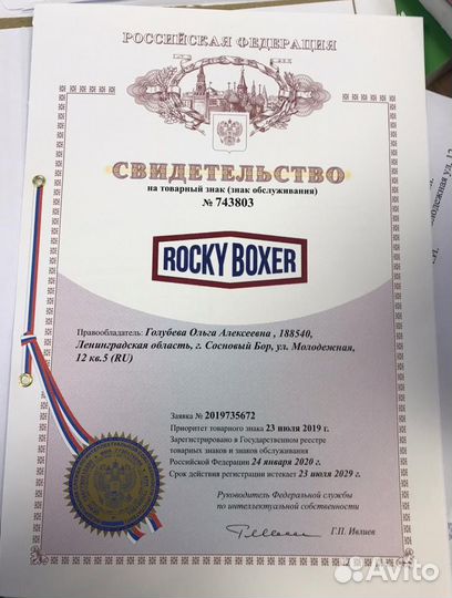 Силомер Rocky Boxer купюры монеты безнал Standart