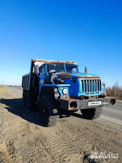 Урал 583100, 2010