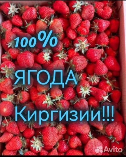 Свежая ягода