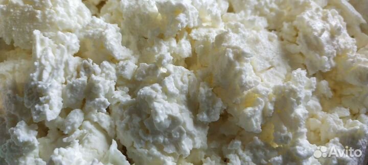 Молоко коровье и козье, сыры молочные продукты