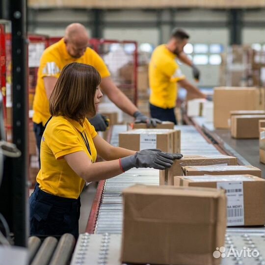 Сборщик Вахта Москва