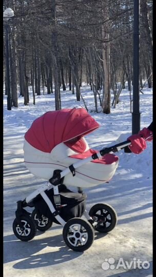 Коляска 2 в 1 Adamex Gloria