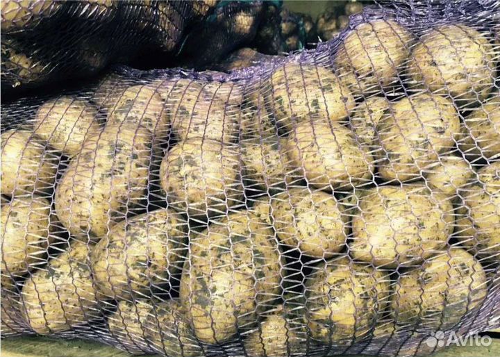 Продукты питания оптом