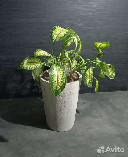 Вазоны для цветов из бетона