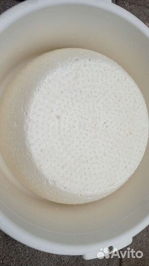 Молочные продукты