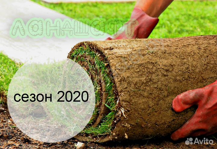 Парковый рулонный газон Павловский посад