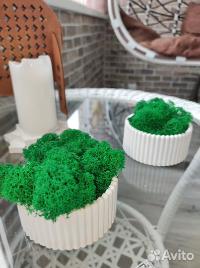 Гипсовые фигурки со стабилизированым мхом