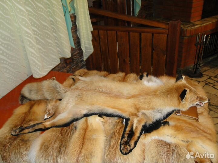 Шкура-ковер лиса рыжая