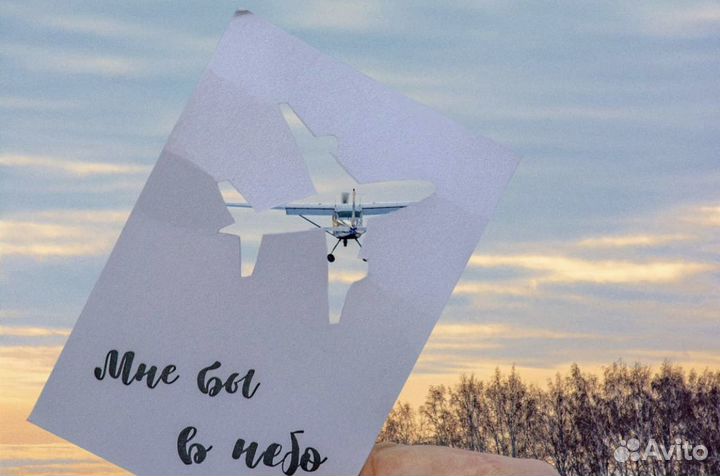 Полеты на самолете. Подарочные сертификаты