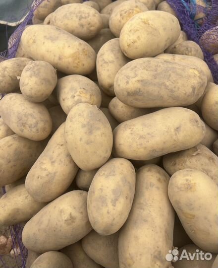 Домашний картофель доставка бесплатно