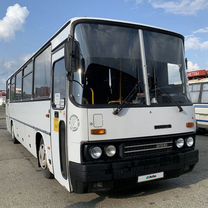 Междугородний / Пригородный автобус Ikarus 256, 2001