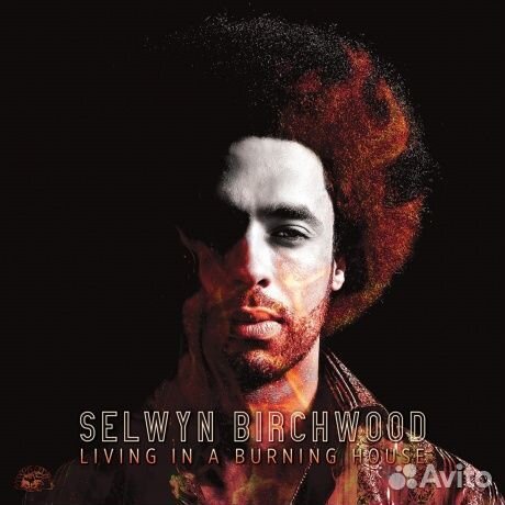 Selwyn birchwood - Living In A Burning House (CD)