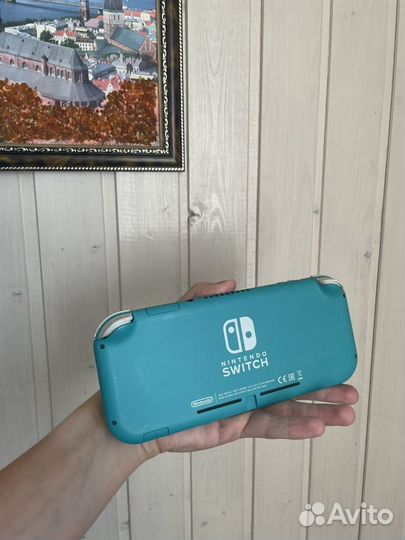 Nintendo switch lite