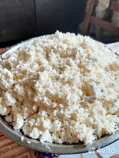 Молоко, масло, сметана, творог, яйца, сыр, индюшек