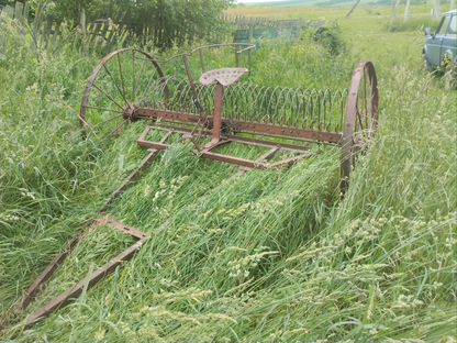 Гребалка конная, Юрино