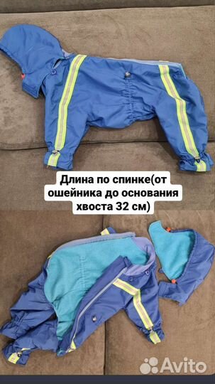 Одежда для собак