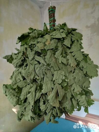Дубовые веники для бани