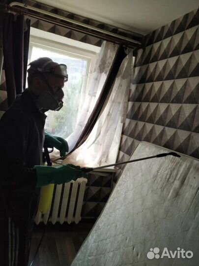 Средство для Уничтожения клопов травли тараканов, блох