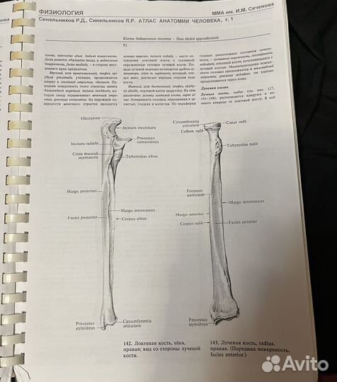 Атлас анатомии человека (1 том) Синельников