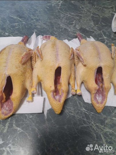 Мясо домашних уток
