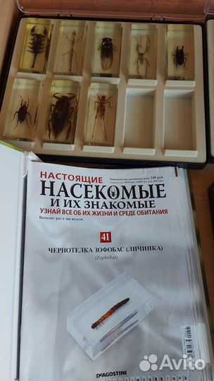 Коллекция жуков и насекомых Деагостини