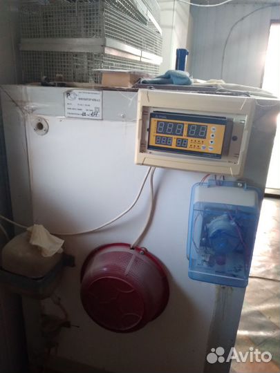 Инкубатор илб 05