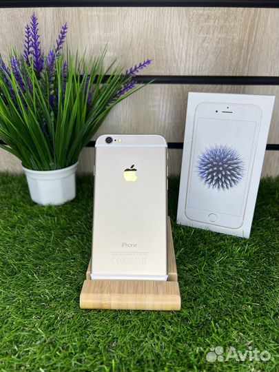 iPhone 6, 16 ГБ