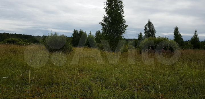 Участок 4 га (СНТ, ДНП)