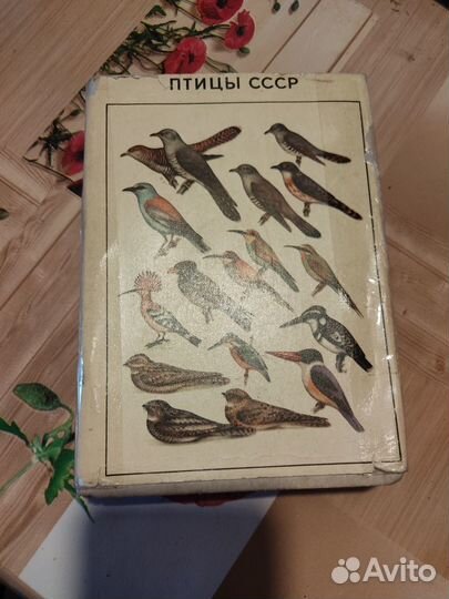Книга птицы СССР