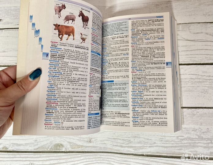 Longman Active Study Dictionary