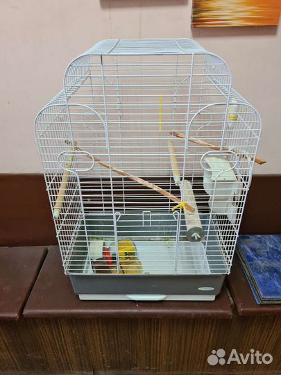 Клетка для крупного попугая