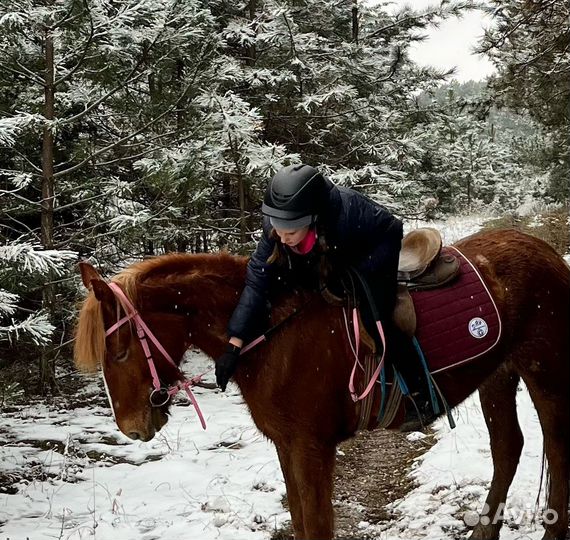 Шлем для конного спорта