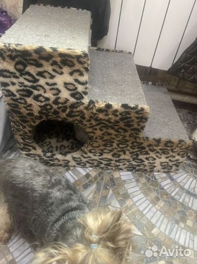 Лесенка для маленькой собачки