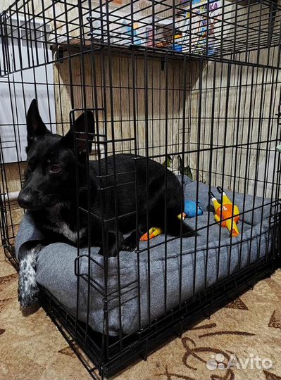 Клетка для собак №5 размер 100х70х76см