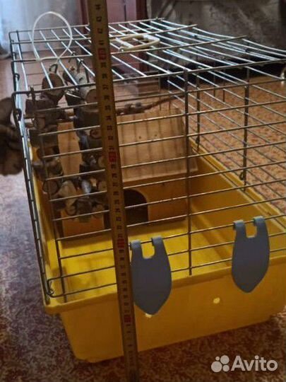Клетка для грызунов большая