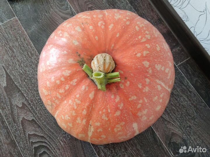 Тыква целая и очищенная,семечки