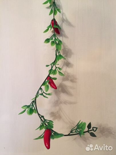 Декоративная зелень, лиана с перчиками