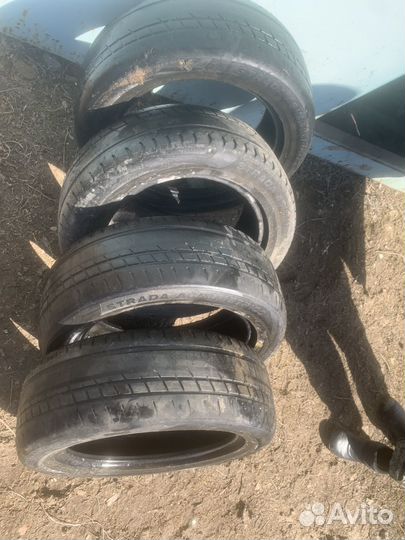 Estrada Winterri Wolf Energy 205/55 R16