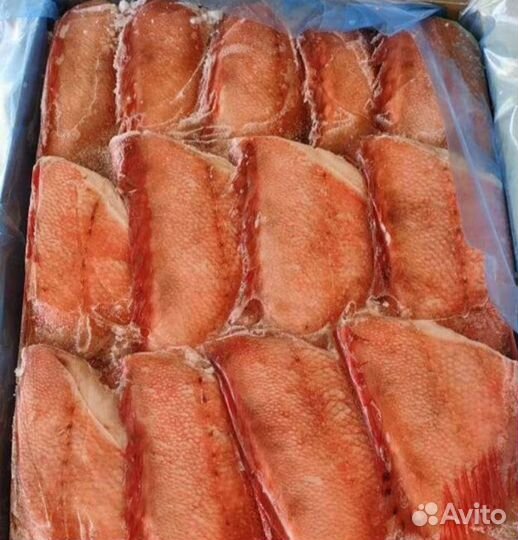 Окунь св.мор